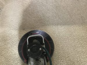 Carpet Cleaning Service